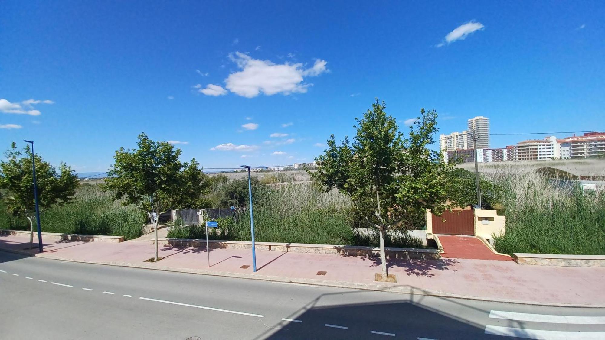 PeñíscolaAzahares Vista Parque Orangecostaアパートメント エクステリア 写真